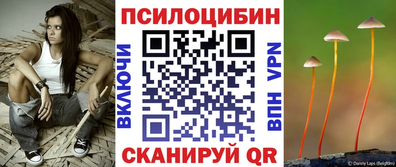 Псилоцибиновые грибы Psilocybe  Купить где  Пустошка 